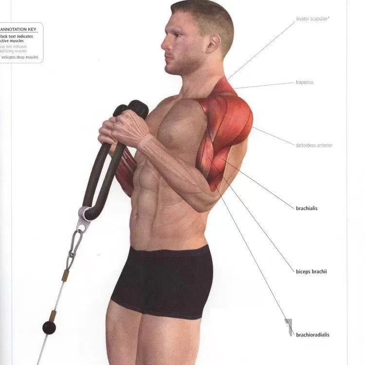 Triceps lowering rope face pull handles push pull down cord for biceps back shoulder triceps fitness tension rope gym accessory